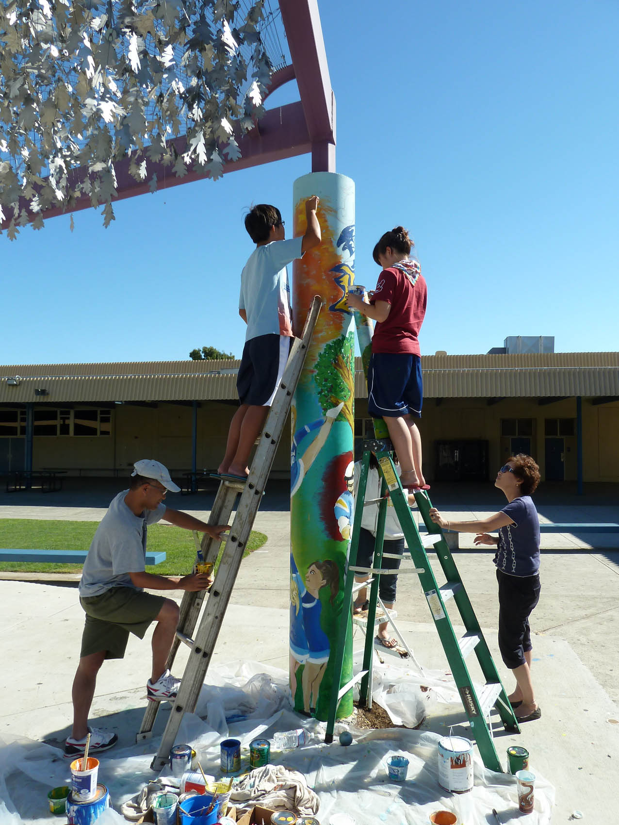 Senior Tree Pinterest Artik - Senior Tree